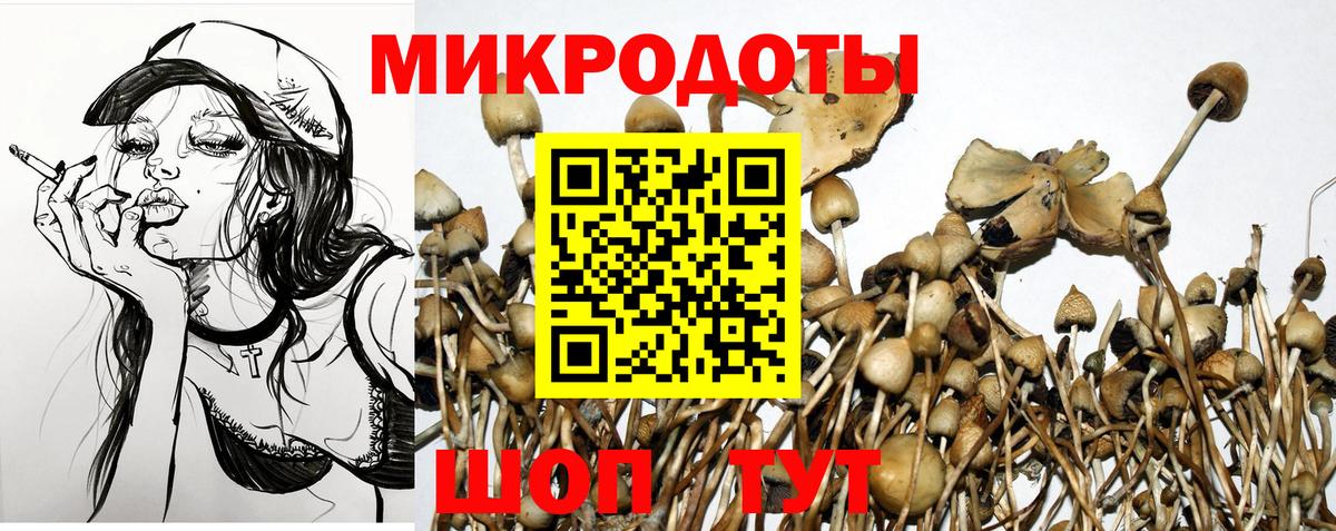 Галлюциногенные грибы прущие грибы Волжский