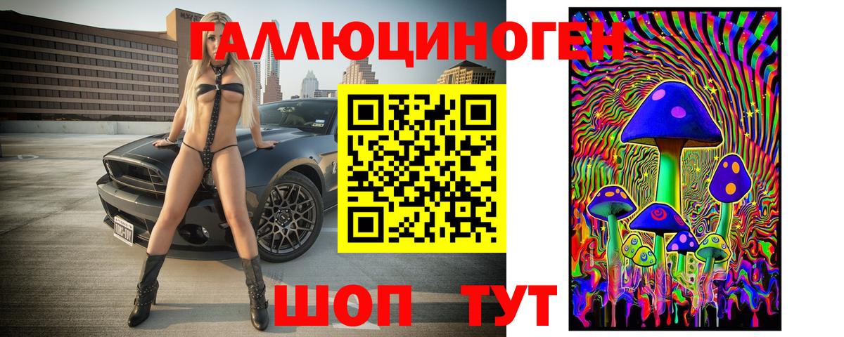 Волжский  Галлюциногенные грибы Cubensis  Вход с VPN 